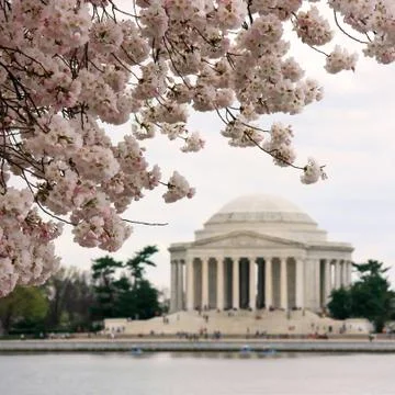 Jefferson Memorial Stock Photos