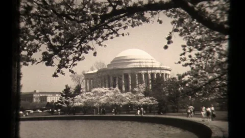 Jefferson Memorial in the Springtime in Washington D.C. blooming flowers, Cherry Stock Footage 129863654
