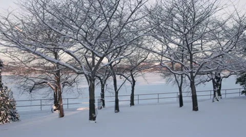 Jefferson Memorial in winter Stock Footage 49829146