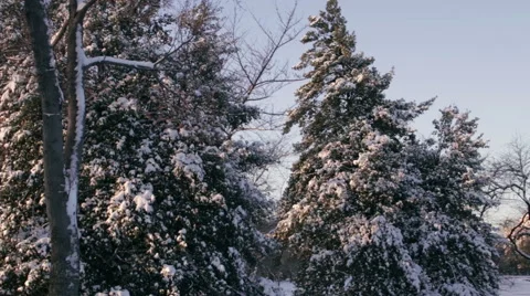 Jefferson Memorial in Winter Stock Footage 49829510