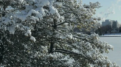 Jefferson Memorial in Winter Stock Footage 49847487