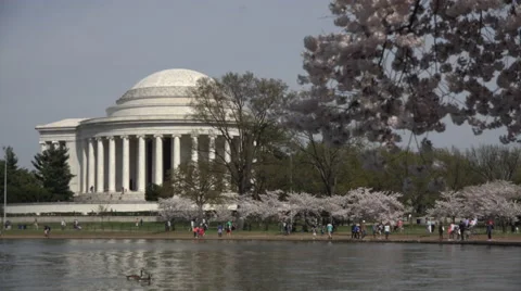 Jefferson Monument Washington DC rack focus 4K 049 Stock Footage 49669207