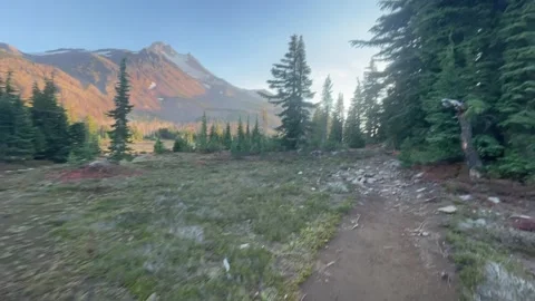 Jefferson Park Oregon, evening light on Mount Jefferson Stock Footage 329457466