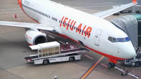 Jeju Air Cargo Loading at Narita International Airport Stock Footage 327389221
