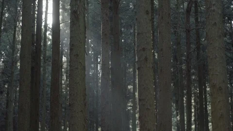 Jeju03 Stock Footage 86183786