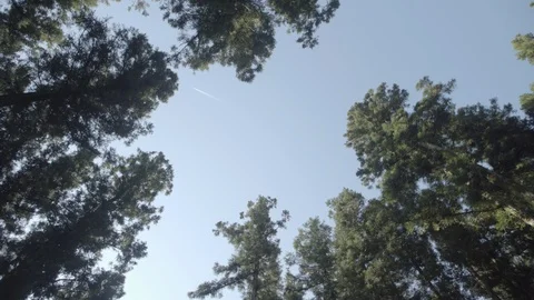 Jeju10 Stock Footage 86186918