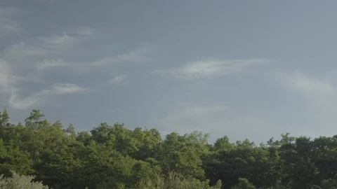 Jeju16 Stock Footage 86196381