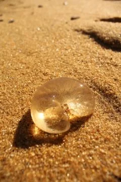 Jelly Blob Foto stock