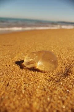 Jelly Blob Foto stock