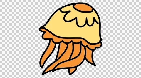 Jelly fish hand drawn animation line sketch with transparent background Stock Footage 44207862