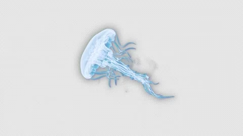 Jelly Fish Loop V01 With Alpha 4K Stock Footage 280952040