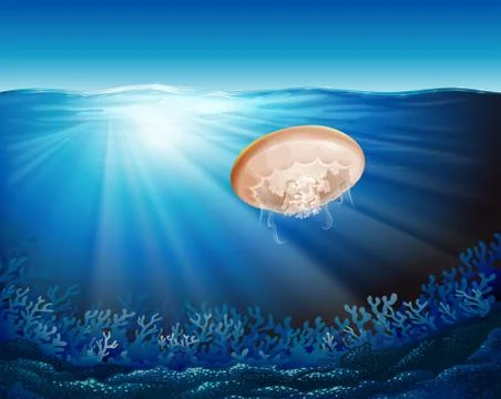 Jelly fish under the water Stock Illustration