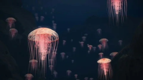 Jelly Fishes (3D rendering) Vídeo Stock 76875862
