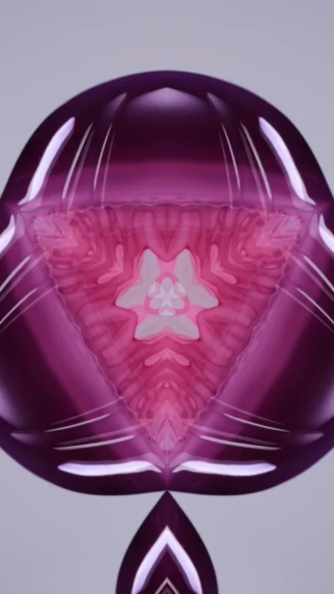 Jelly Fly Trap Stock Footage 246424964