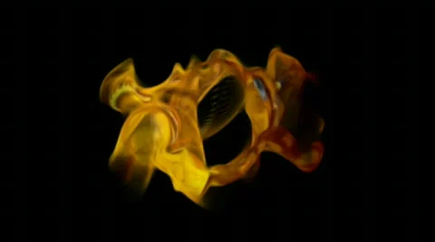 Jelly HD 库存影片 486645