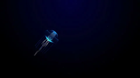 JellyFish 2 Video stock 25148476
