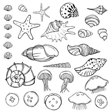 Jellyfish and seashells. Vector sketch  illustration. 스톡 일러스트