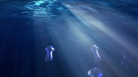 Jellyfish animated underwater 動画素材 65085364