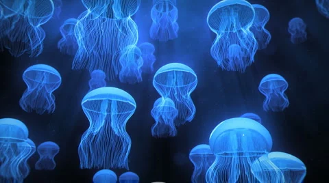 Jellyfish Ascending Blue Stock Footage