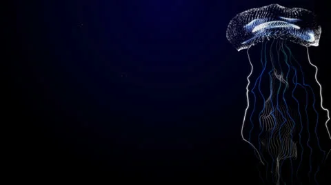 Jellyfish background Video stock 25066632