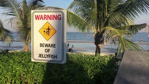 Jellyfish beware sign on the beach Stock Footage 71126288