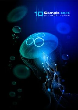 Jellyfish at the black background Stock Illustration