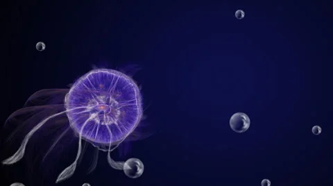 Jellyfish in blue sea Stock Footage 42745786