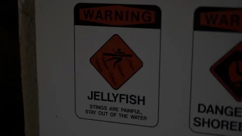 Jellyfish Caution Sign On Dark Beach At Sandy Beach Park, Honolulu, Hawaii Stock Footage 154337469