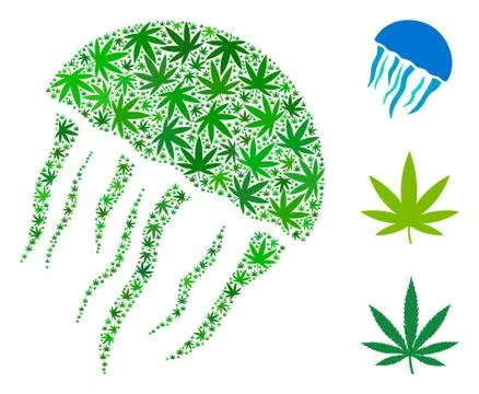 Jellyfish Composition of Weed Leaves Ilustración de archivo