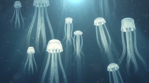 Jellyfish 스톡 동영상 32691095