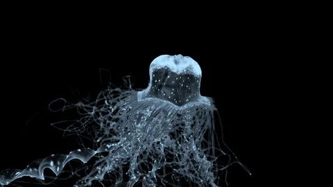 Jellyfish Stock Footage 121349857