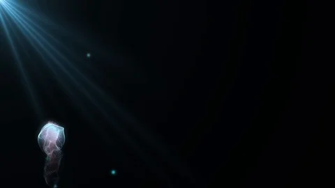 Jellyfish With Form Effect Stock Footage 109698415