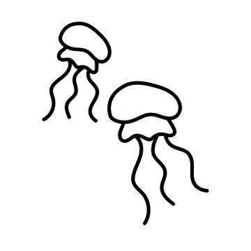 Jellyfish . Hand drawn line icon . Outline of a fish concept isolated on a white Stock Illustration