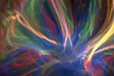 Jellyfish 库存插图