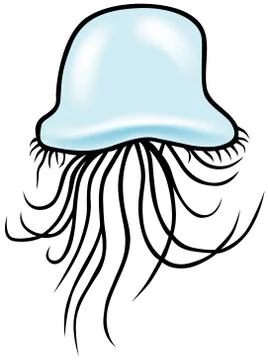 Jellyfish Illustrazione stock
