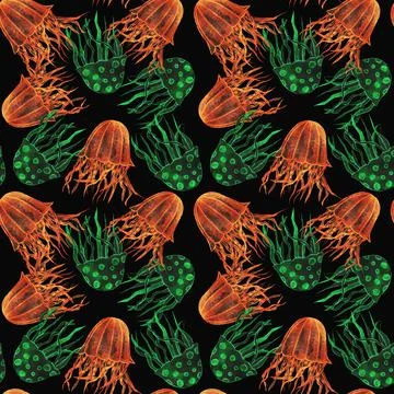 Jellyfish Illustrazione stock