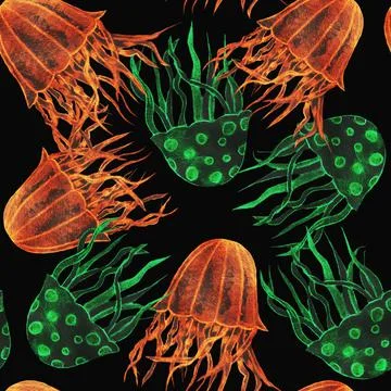 Jellyfish Stock Illustration