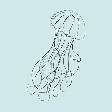 Jellyfish Stock Illustration