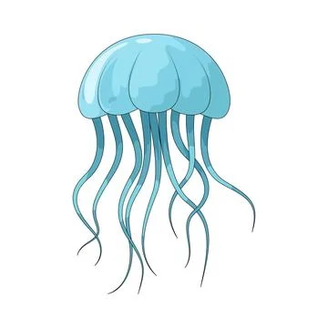Jellyfish illustration 스톡 일러스트