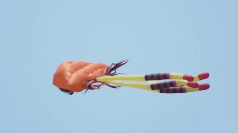 Jellyfish Kite Stock Footage 45981018