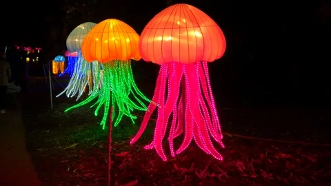 Jellyfish Light Display Stock Footage 101215065