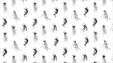Jellyfish.  Loop Background. Sketch effect Stock Footage 297889454