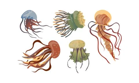 Jellyfish with Multiple Long Tentacles Isolated on White Background Vector Set Stock Illustration