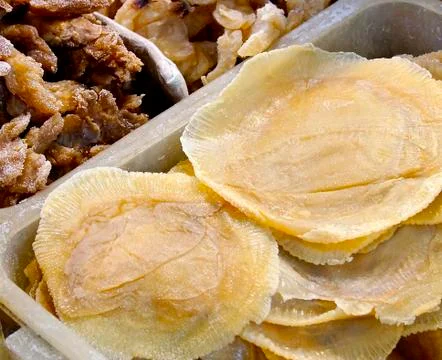 Jellyfish Stock Photos