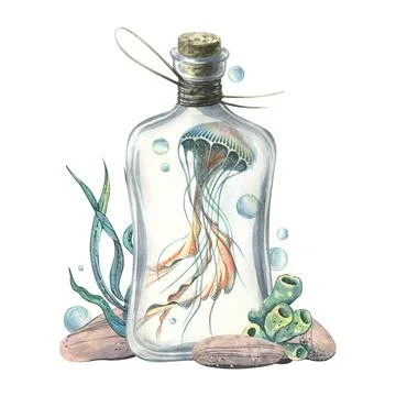Jellyfish, sea sponge, algae, pebbles and bubbles inside a glass bottle with a Stock Illustration