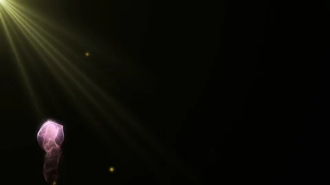 Jellyfish With Shape And Light Effects Stock Footage 109698382