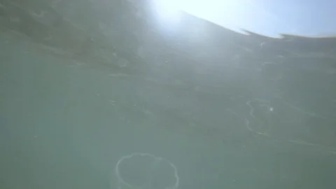 Jellyfish in slow motion close to camera. Sunlight sominh through the water.S Stock Footage 93123999