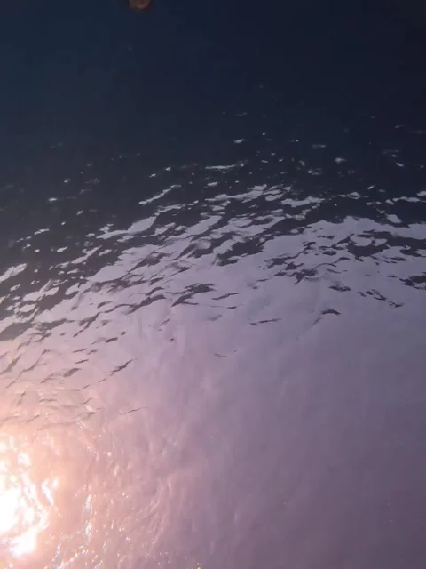 Jellyfish Spins in Diver's Bubble Ring, Menorca, Balearic Islands, Spain - 20 Ju Stock Footage 337908583