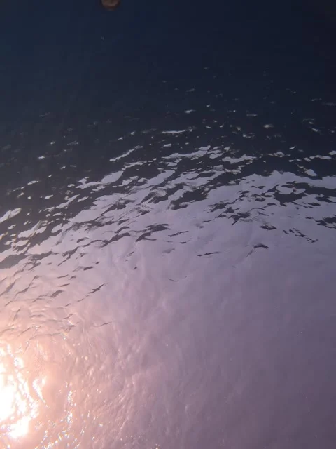 Jellyfish Spins in Diver's Bubble Ring, Menorca, Balearic Islands, Spain - 20 Ju Stock Footage 337908618
