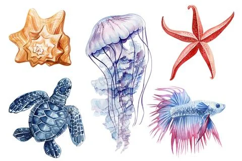 Jellyfish, turtle, shell, fish and starfish, isolated background, watercolor Stock Illustration